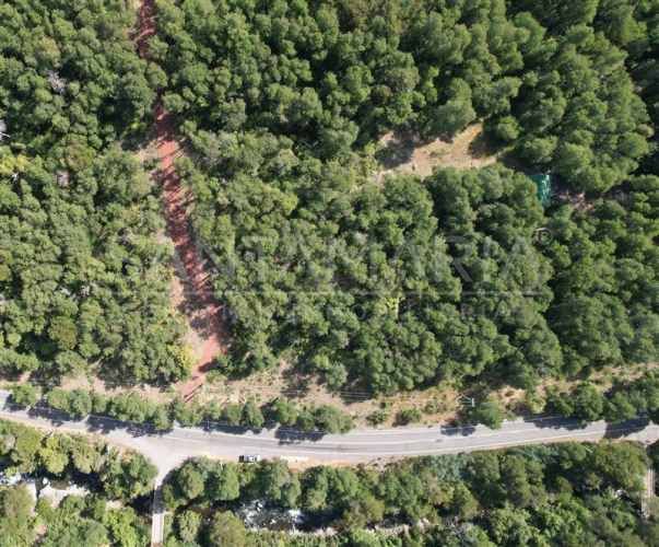 PARCELA Las Trancas, Chillán