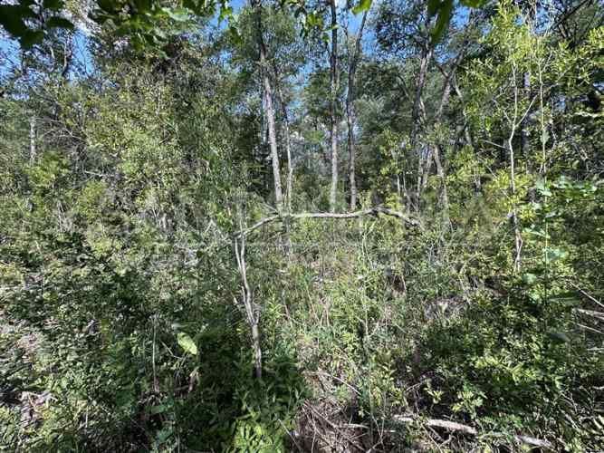 PARCELA Las Trancas, Chillán