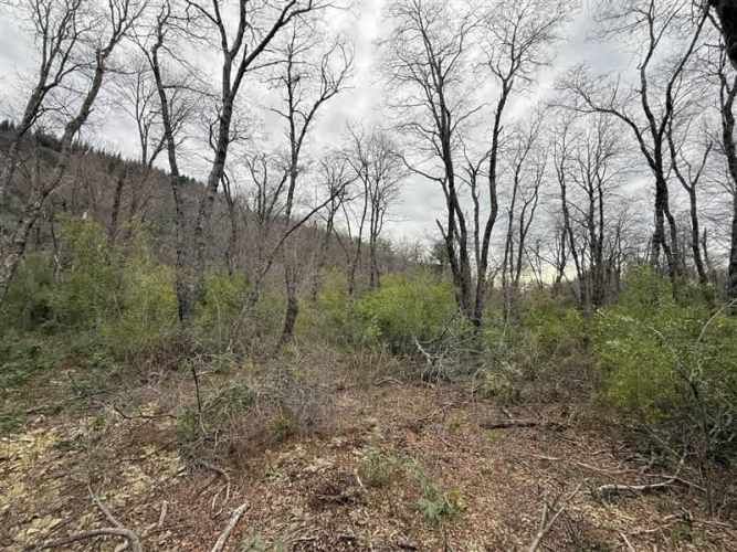 PARCELA Las Trancas, Chillán