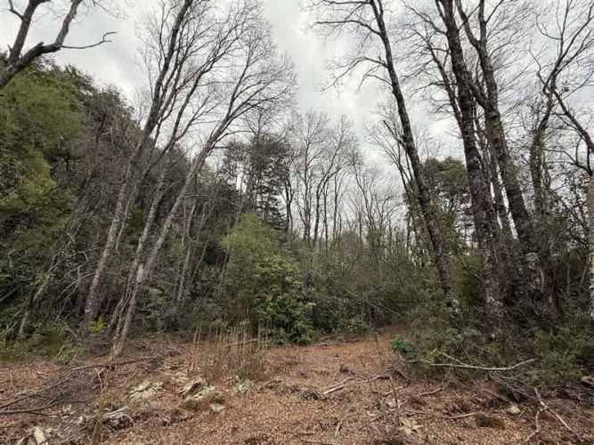 PARCELA Las Trancas, Chillán