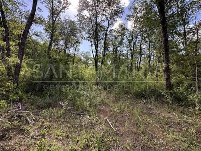 PARCELA Las Trancas, Chillán