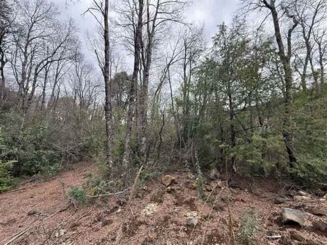 PARCELA Las Trancas, Chillán