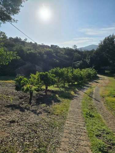 Se venden derechos de parcela en el sector Los Coligues
