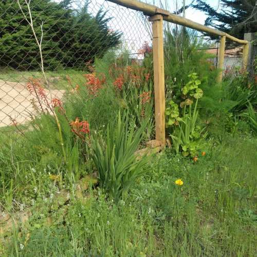 Terreno&Casa Básica/Sector Tranquilo Gran Potencial