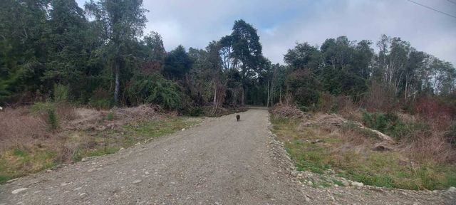 Parcela en oferta a 10 min centro Paillaco, agua potable acceso luz