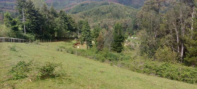 Linda parcela 1 hectárea con bosque a 10 min de Valdivia, agua y luz