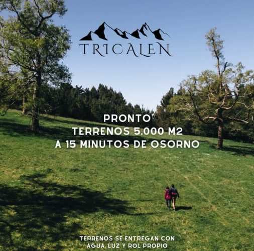 VENDE Hermoso Proyecto de parcelas a 20 minutos de Osorno.