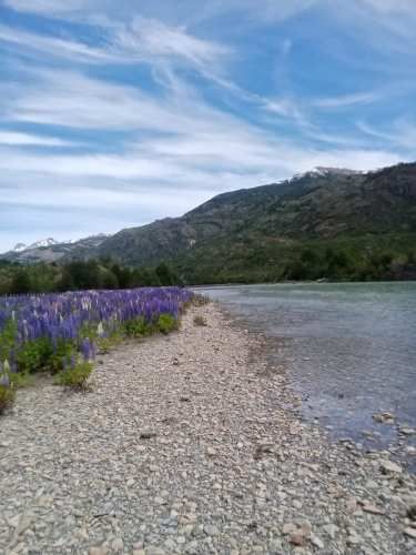 VENDE Hermoso terreno de 18 ha a 20 min de Cochrane,  Aysén.