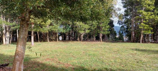 Bella parcela Sustentable acceso río cruces a 7 minutos de Valdivia