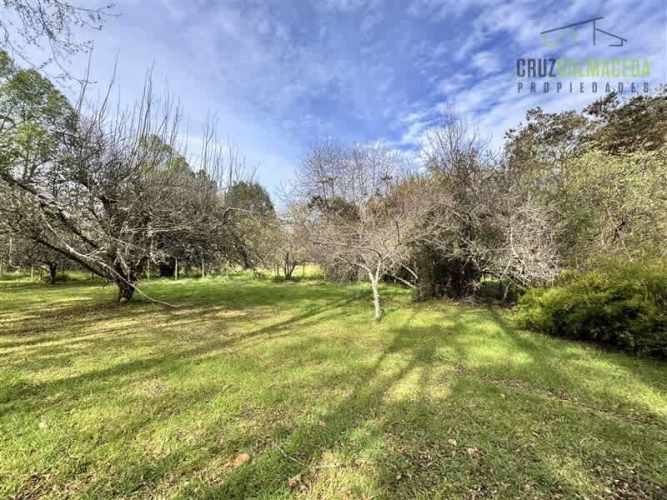 CASA Calcurrupe bajo