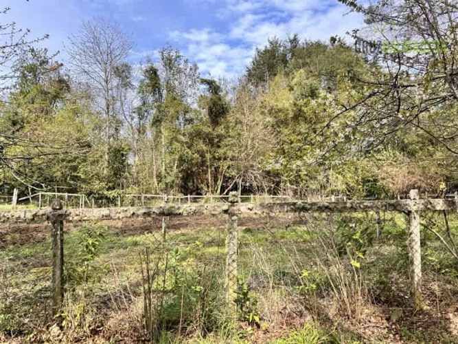 CASA Calcurrupe bajo