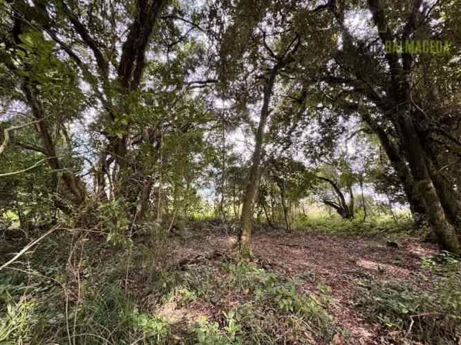 CASA Calcurrupe bajo