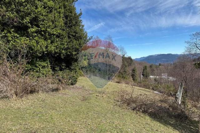 Campo en pucón oportunidad única de inversión