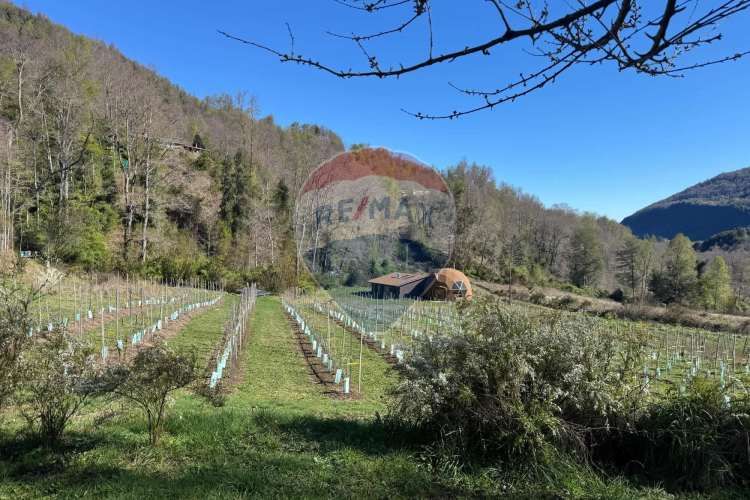 Arrienda complejo turístico en pucón