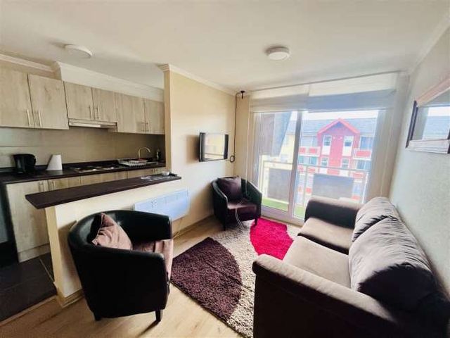 DEPARTAMENTO Segunda Faja al Volcan con Volcan Lonquimay