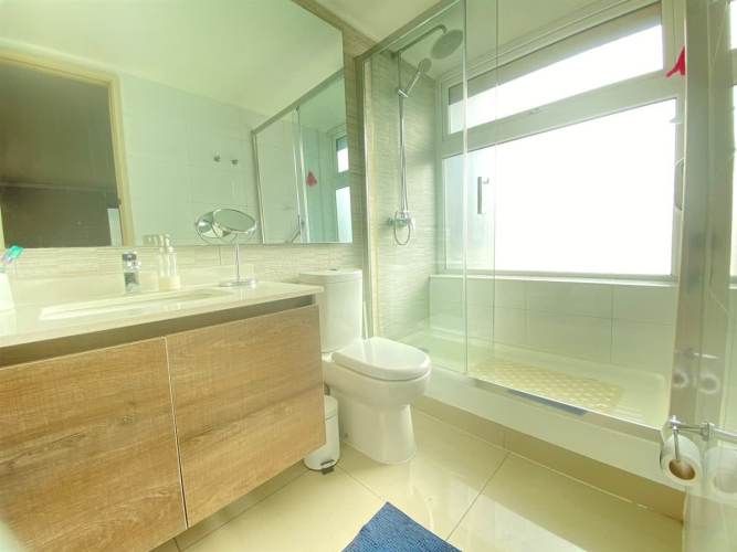 DEPARTAMENTO Pedro de Valdivia - Irarrazabal