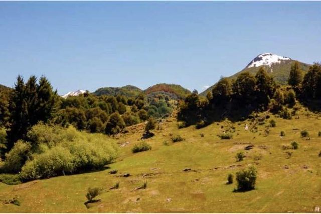 Parcelas altos del lago 5.000 m² en coyhaique