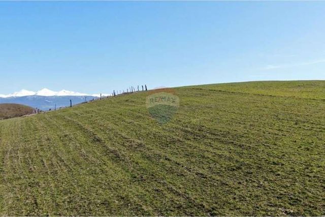 Parcelas de 5.000 m² en coyhaique