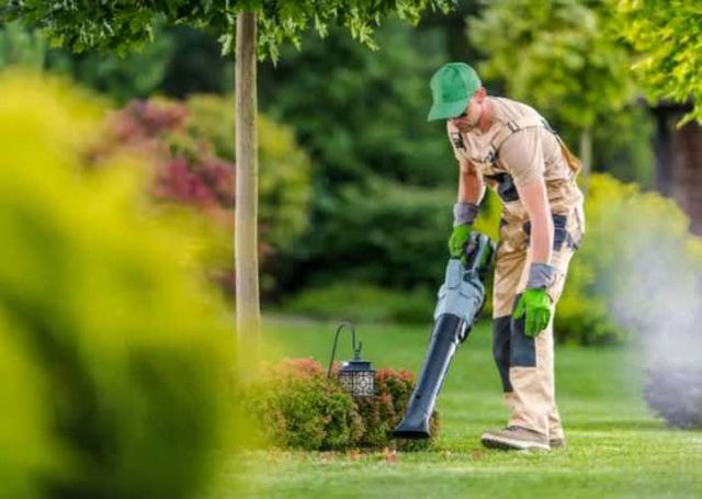 Estamos en búsqueda de un Jardinero
