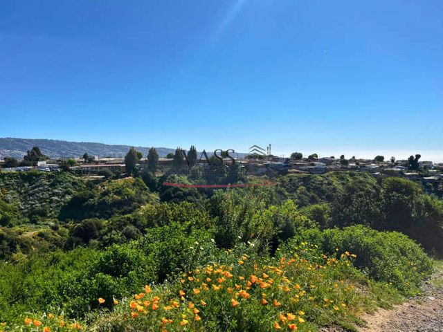 VASS vende terreno de 2.585 m² en Agua Santa, Viña del Mar