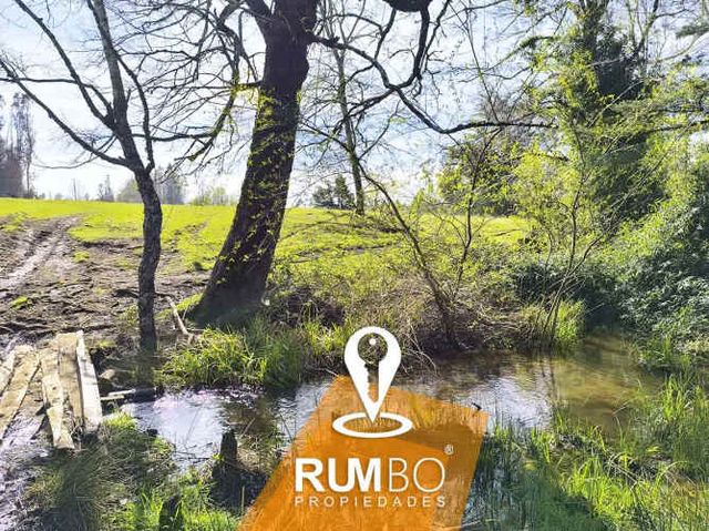 Se vende campo de 13.55 hectáreas camino Ñancul a Pitrufquén