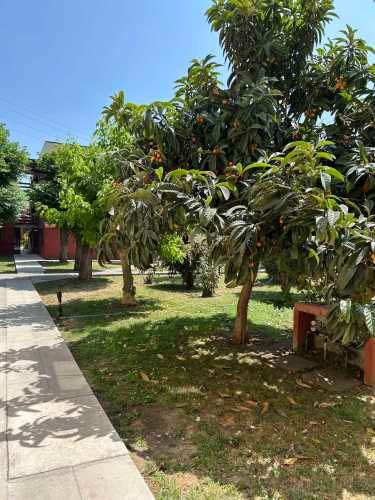 General Oscar Bonilla 2971 segundo piso