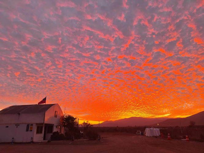 Asistente y Ayudante empresa de Reciclaje