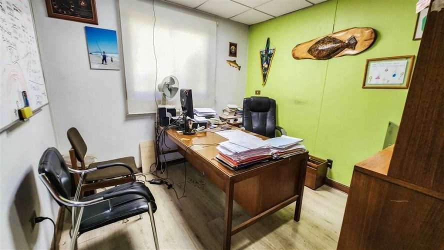 Oficina De 770/1710 M2 En Arriendo En Macul