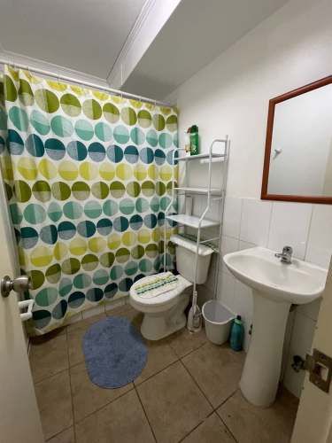 Arriendo Departamento 3 Dormitorios En Viña Del Mar