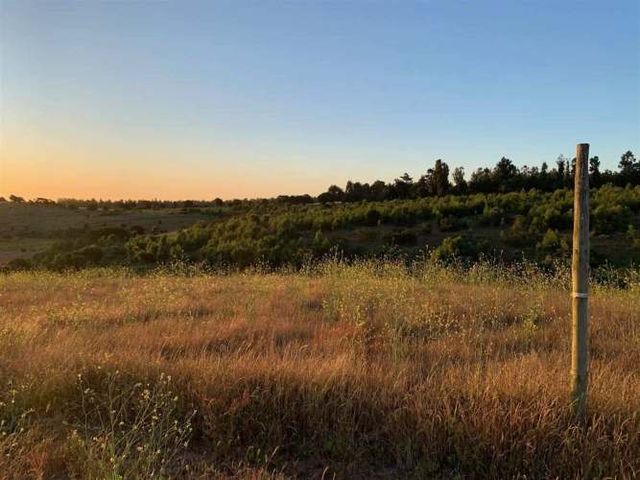 Sitio En Venta En Santa Adela, Mantagua-quintero