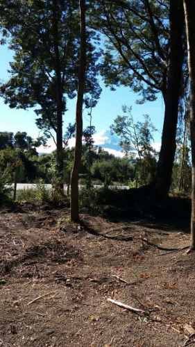 Hermosas Parcelas En Venta En Ensenada Puerto Varas