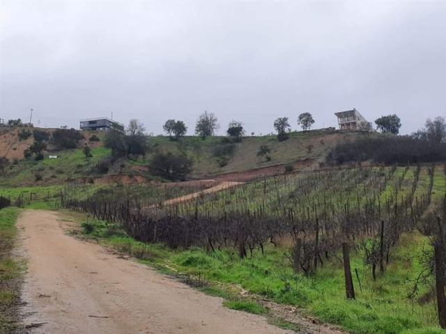 Parcela En Venta En Casablanca Hacienda Casablanca