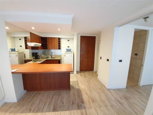 Venta Hermoso Depto 1d&#43;1b Estacionamiento Y Bodega (unic