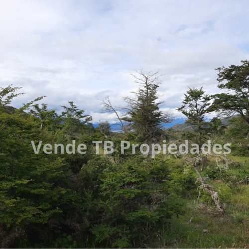 Parcela 3,5ha En Venta Puerto Guadal, Aysén - Patagonia