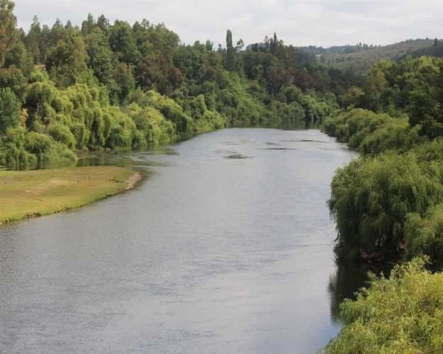 Venta Sitio 3 Ha Rio Cholchol Temuco