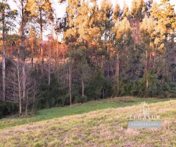 Agroparcelas En La Comuna De Los Lagos