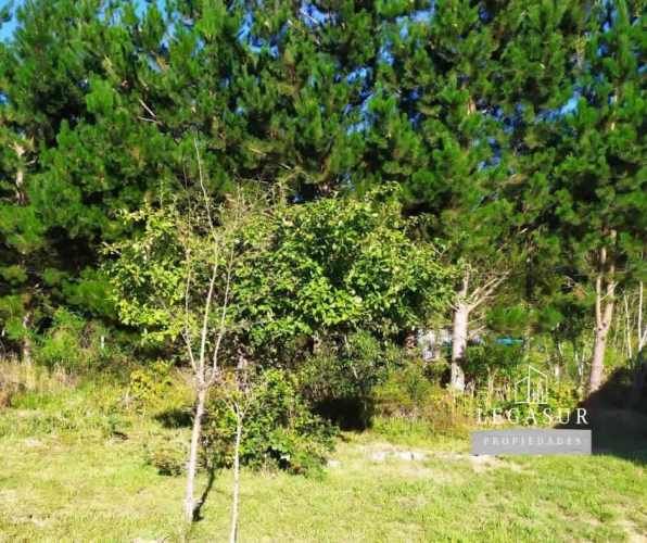 Parcela 5.000 M Con Casa Lista Para Habitar, 95mm