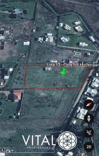 Oportunidad De Negocio Agrícola En Arriendo En Melipilla