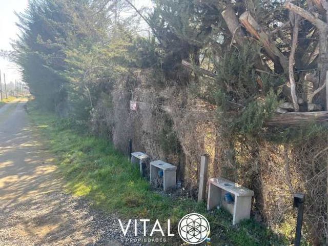 Oportunidad De Negocio Agrícola En Arriendo En Melipilla