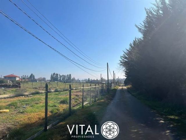 Oportunidad De Negocio Agrícola En Arriendo En Melipilla