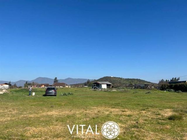 Oportunidad De Negocio Agrícola En Arriendo En Melipilla