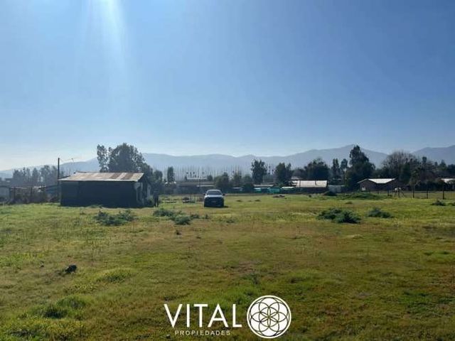 Oportunidad De Negocio Agrícola En Arriendo En Melipilla