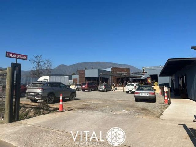 Oportunidad De Negocio Agrícola En Arriendo En Melipilla