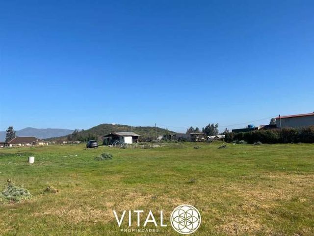 Oportunidad De Negocio Agrícola En Arriendo En Melipilla