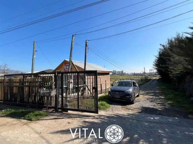 Oportunidad De Negocio Agrícola En Arriendo En Melipilla