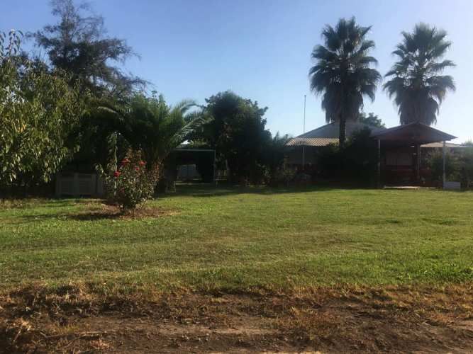 Agrícola En Venta En Teno