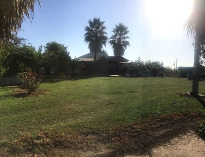 Agrícola En Venta En Teno