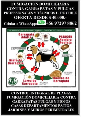 Fumigacion, Control de Plagas Domiciliarias Garrapatas Ácaros Pulgas