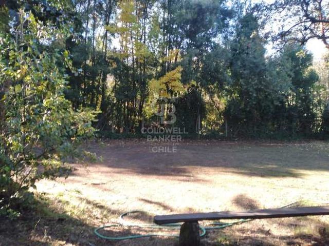 Sitio a pasos del Lago Calafquén