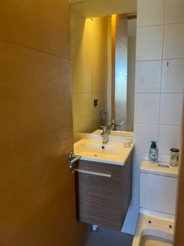 DEPTO 2D-2B, CON EST Y BODEGA , CENTRO SAN BNDO